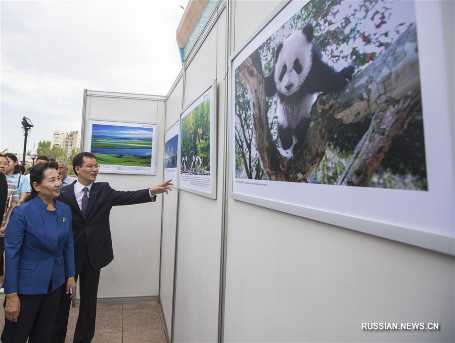 В пятницу в Казахстане начала работу выставка нематериального культурного наследия Китая, торжественная церемония открытия прошла сегодня в Алматы.