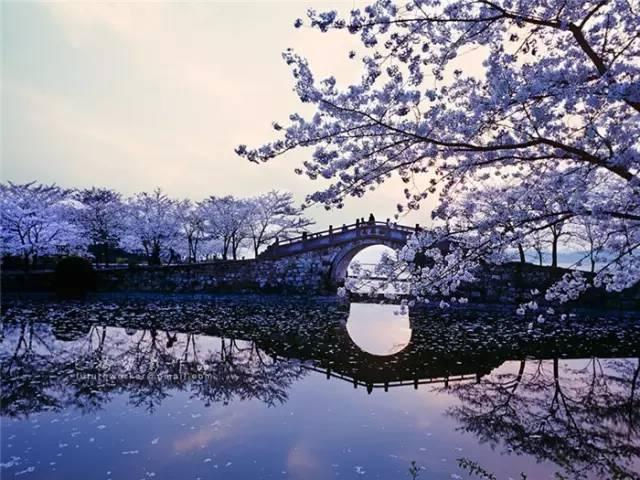 Непревзойденно прекрасные пейзажи в Китае в объективах иностранных фотографов