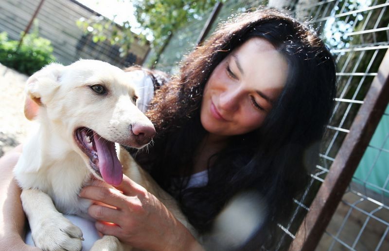 Московский приют для животных: собаки счастливо живут