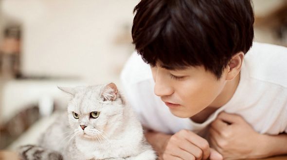 Популярный актер Ян Лэ снялся в фотосессии с котом