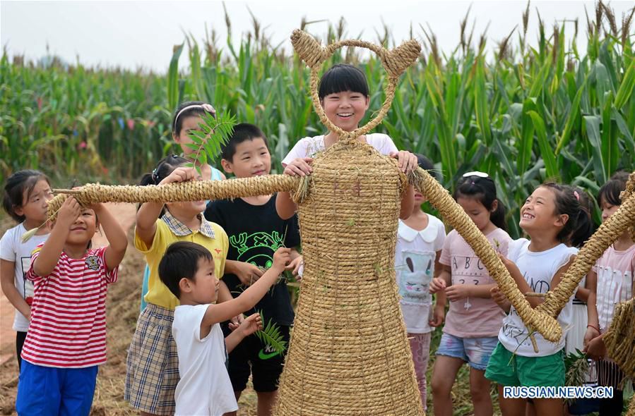 'Кукурузный лабиринт' в провинции Хэбэй