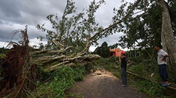 Тайфун 'Сарика' обрушился на провинцию Хайнань