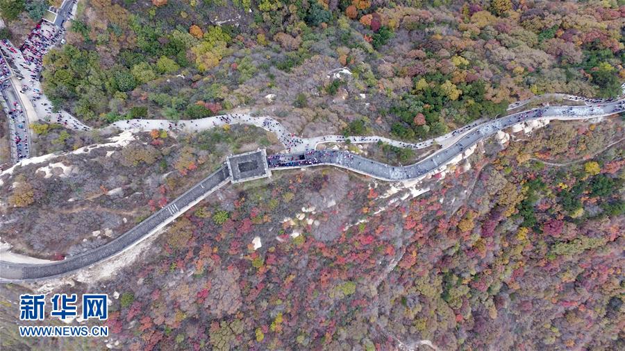 Красные листья украсили участок Великой китайской стены Бадалин