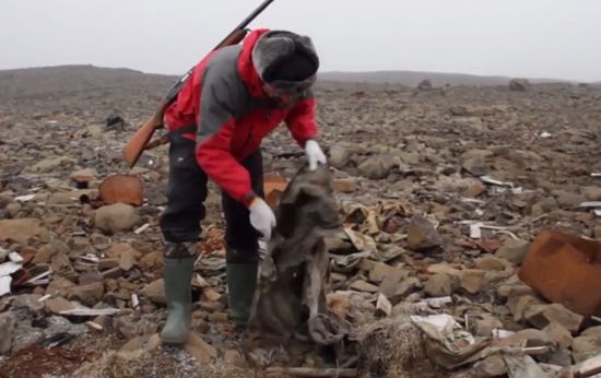 Российские ученые обнаружили секретную базу нацистов, заброшенную в конце Второй мировой войны