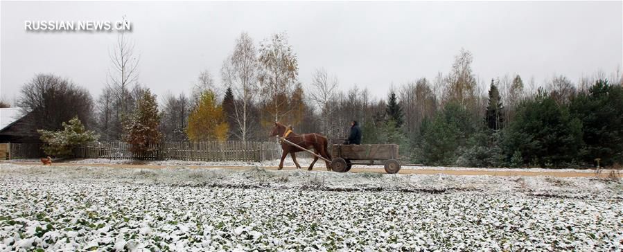 Первый снег в Беларуси