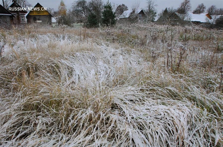 Первый снег в Беларуси