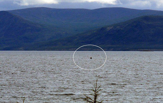 В сибирском озере вновь появилось водяное чудовище 