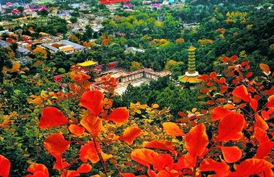 Парк Сяншань -- идеальное место для любования красными осенними листьями в Пекине
