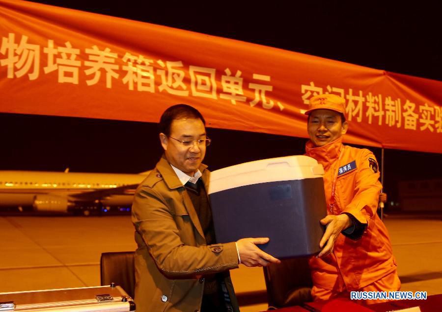 Китайские космонавты привезли на Землю растения из лаборатории 'Тяньгун-2'