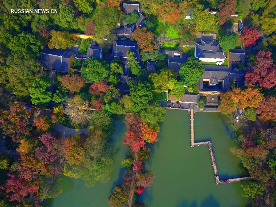 'Разноцветные' клены парка Тяньпиншань в Сучжоу