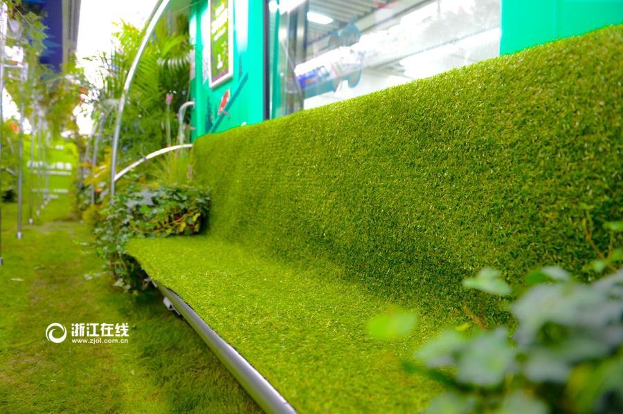 Метро Ханчжоу превратилось в зеленый мир с растениями
