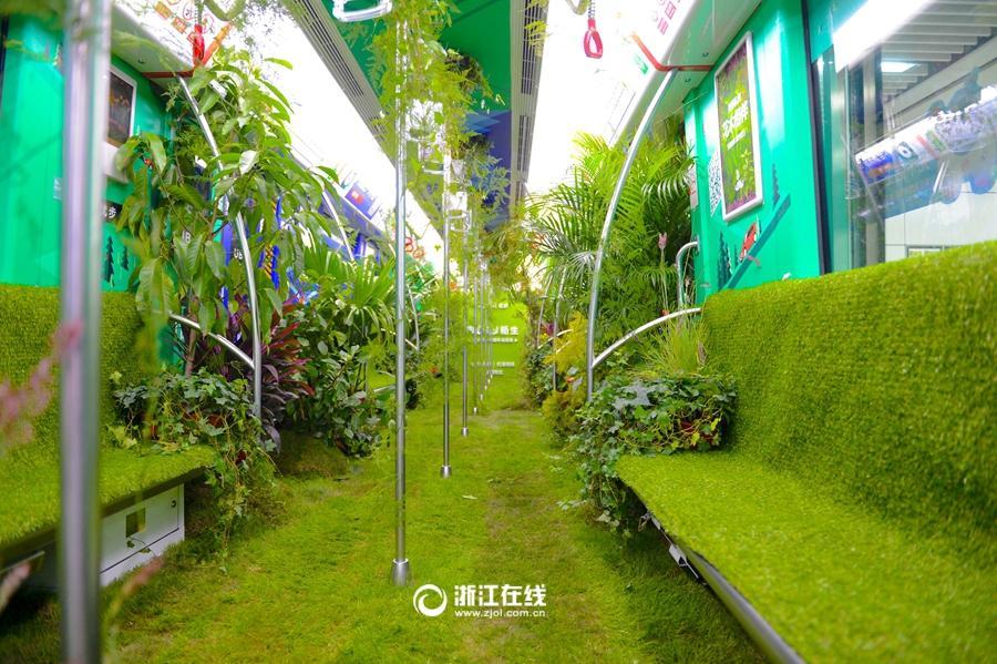 Метро Ханчжоу превратилось в зеленый мир с растениями