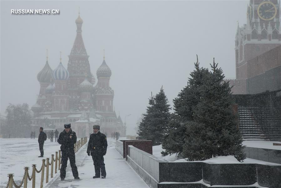 Москву засыпало снегом