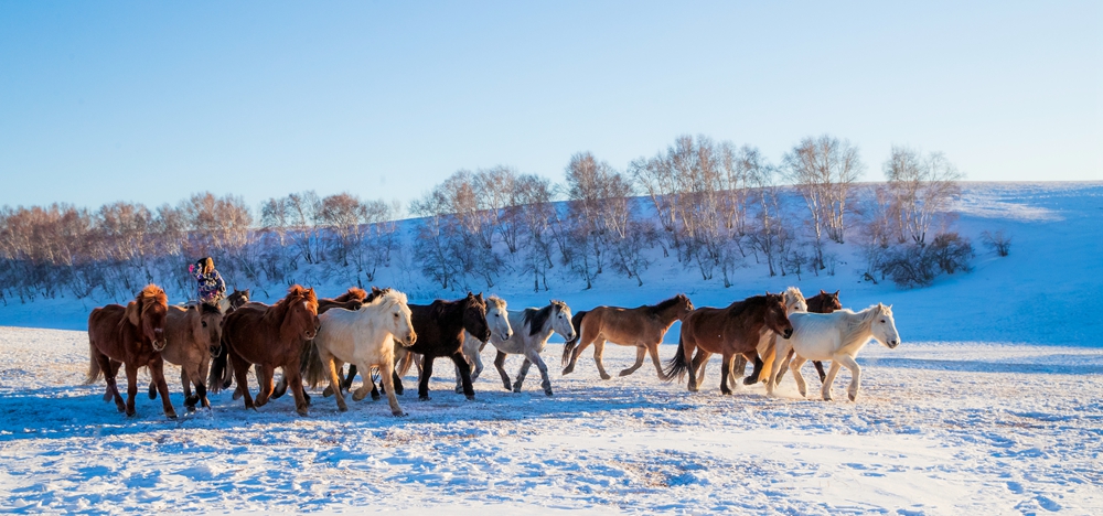 Прекрасные зимные пейзажи степи Башан во Внутренней Монголии