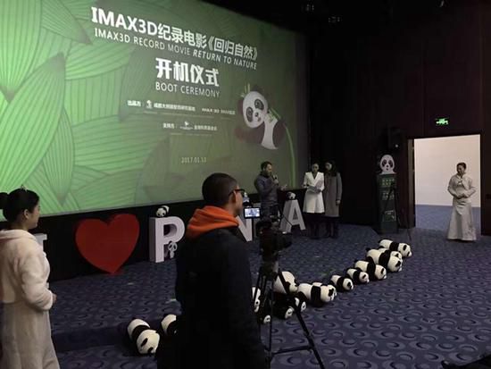 На юго-западе Китая начались съемки первого документального фильма о панде в формате IMAX 3D
