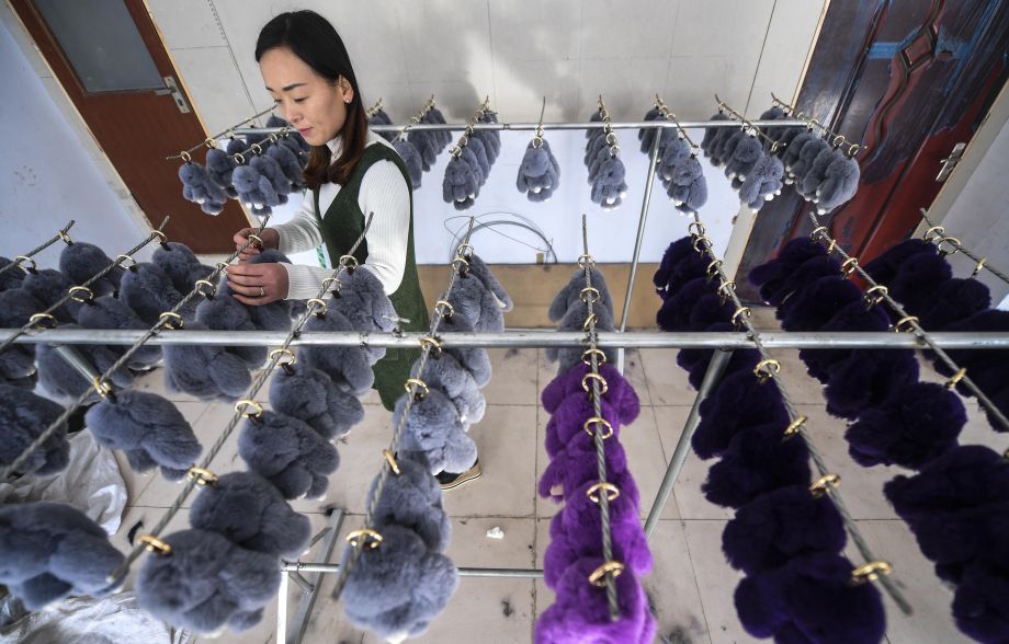 Уезд Цзаоцян провинции Хэбэй: изготовление меховых украшений выходит на большой рынок