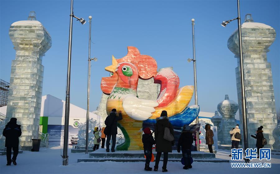 С приближением Праздника Весны и года Петуха по лунному календарю, во всех крупных парках ледяных скульптур в Харбине популярность у туристов завоевывают ледяные скульптуры, посвященные петуху.