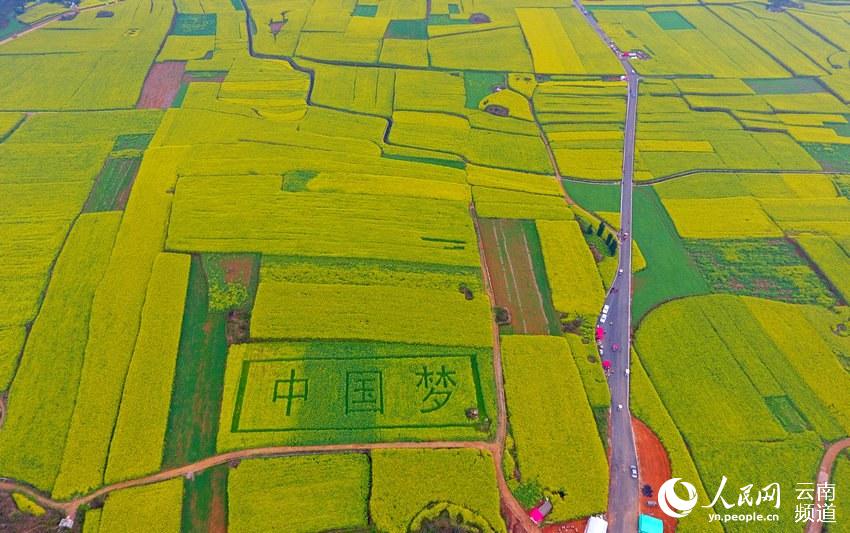 Уезд Лопин провинции Юньнань: китайские крестьяне высадили на цветущем поле надпись «китайская мечта»