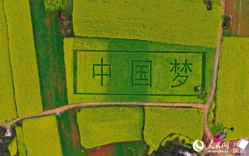 Уезд Лопин провинции Юньнань: китайские крестьяне высадили на цветущем поле надпись «китайская мечта»