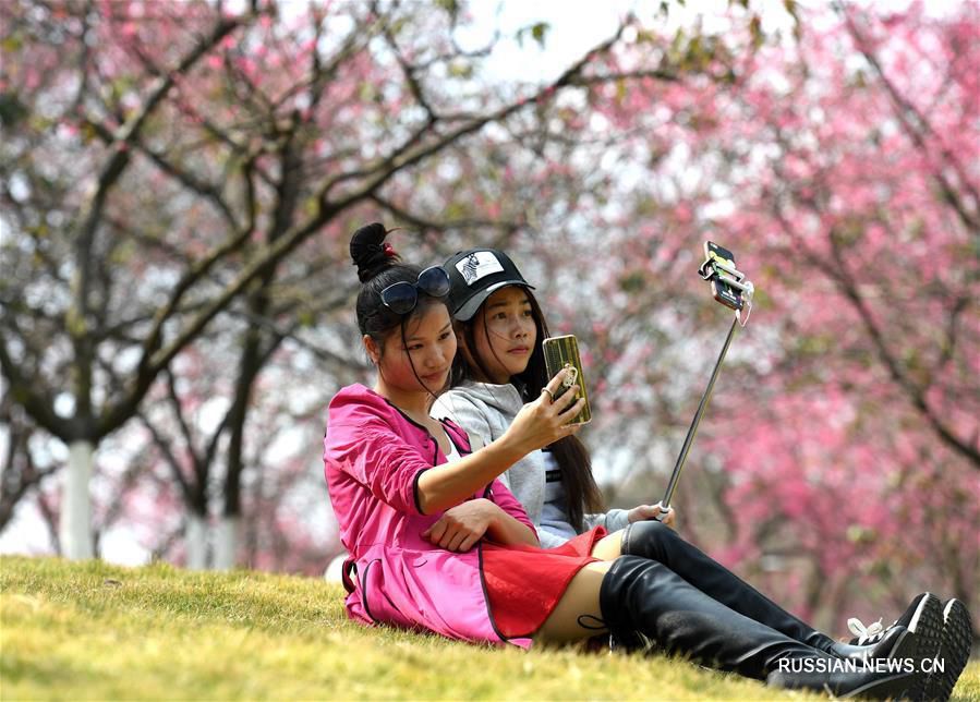 Весна в китайских городах