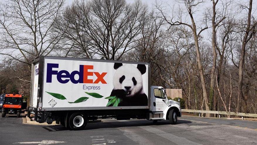 Родившаяся в США панда по кличке Бао Бао отправилась в Китай