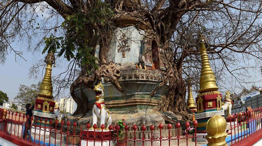 Необычная пагода в городе Ман