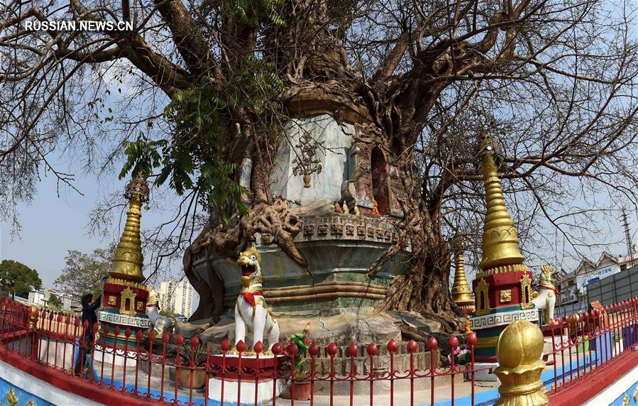 Необычная пагода в городе Ман