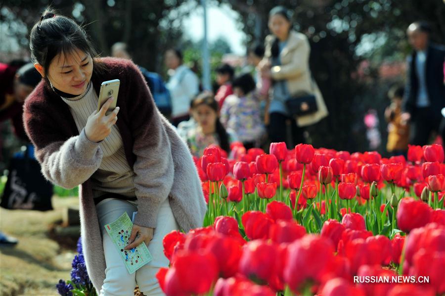 Весеннее море цветов в Наньчане