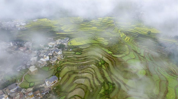 Волшебные туманы в горах Гуйчжоу