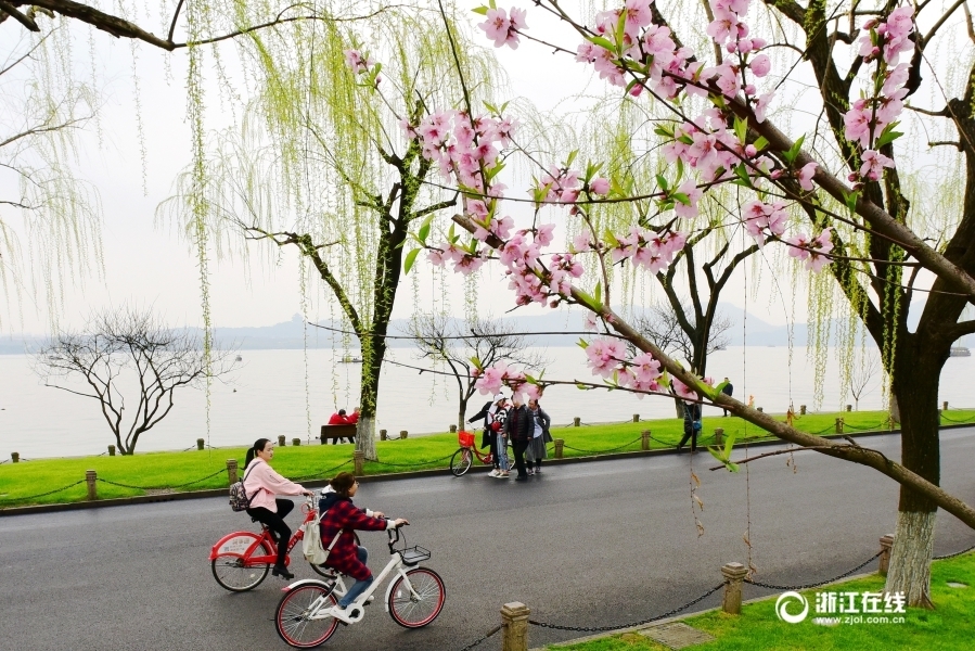 Розово-зеленый берег в Ханчжоу