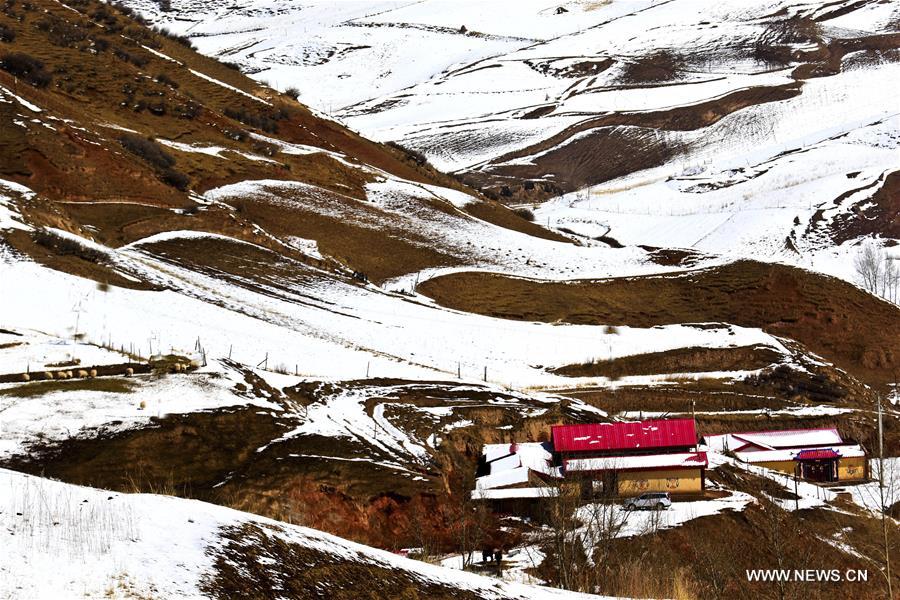 Снег в горах Циляньшань