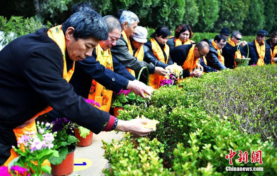 Экологически чистые способы погребения в провинции Хэбэй 