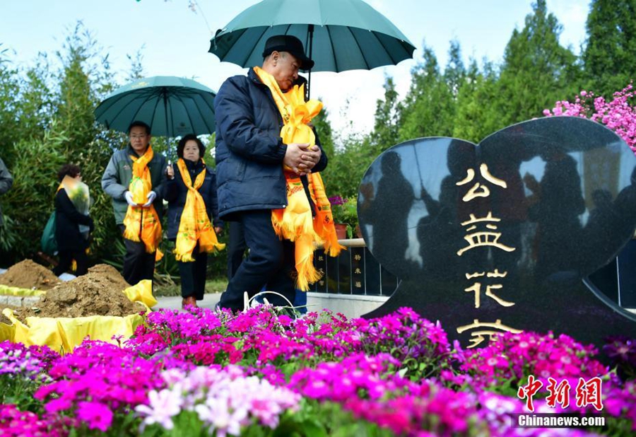 Экологически чистые способы погребения в провинции Хэбэй 