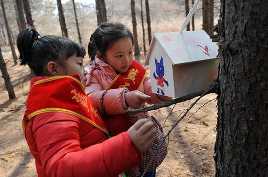 Сотни китайских школьников мастерят новые скворечники перелетным птицам