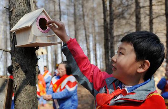 Сотни китайских школьников мастерят новые скворечники перелетным птицам