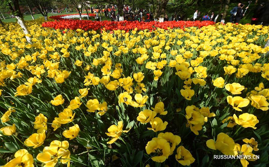 В окрестностях озера Сиху в Ханчжоу, административном центре провинции Чжэцзян /Восточный Китай/, наступил самый прекрасный сезон в году, когда повсюду зеленеет трава, порхают птицы, цветут персики и распускаются ивы.