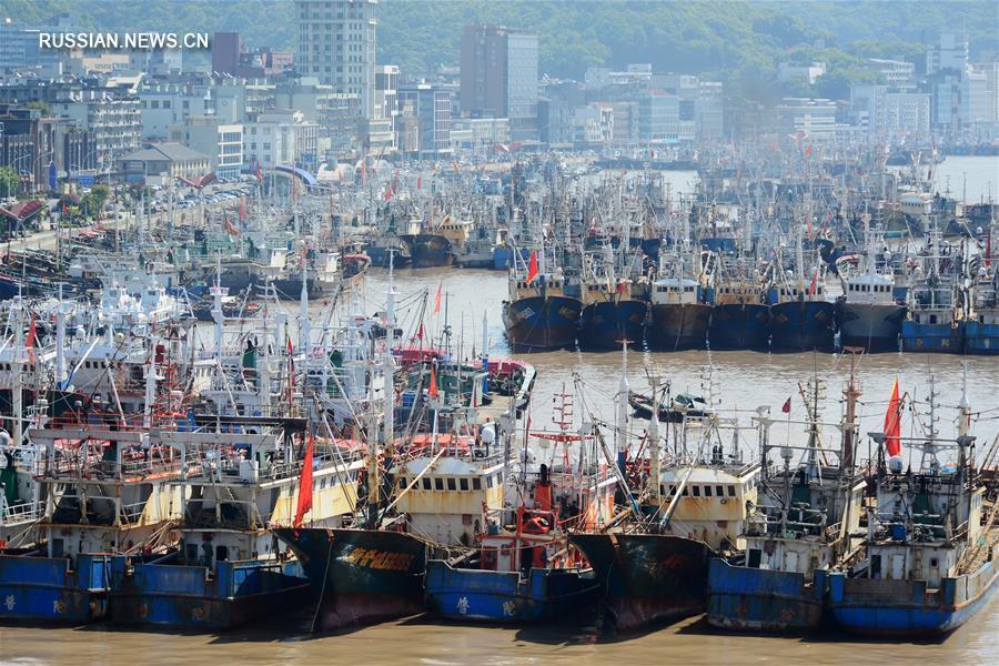 С 1 мая в Китае введен сезонный запрет на ловлю рыбы в заливе Бохай, Желтом и Восточно- Китайском морях
