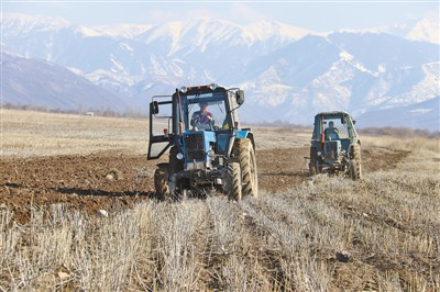 Инновационное сотрудничество Китая и Казахстана в сфере сельскохозяйственной науки и техники: привезти китайский парк сельскохозяйственной техники в Тургень