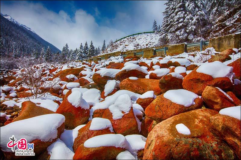 Красивая сакура на ледяной горе Дагу