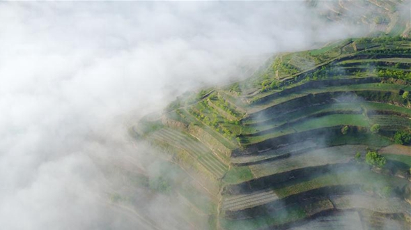 Провинция Ганьсу: очаровательные террасовые поля в море облаков 