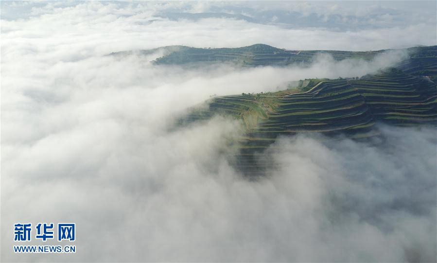 Провинция Ганьсу: очаровательные террасовые поля в море облаков 