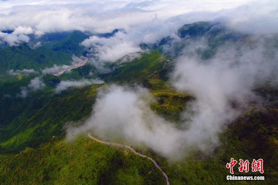 Море облаков в национальном парке Шэньнунцзя 