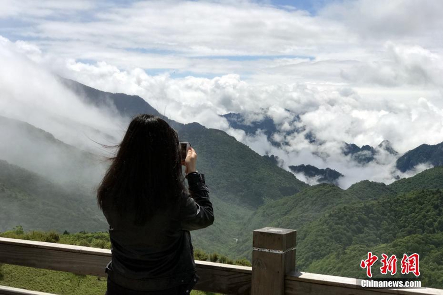 Море облаков в национальном парке Шэньнунцзя 