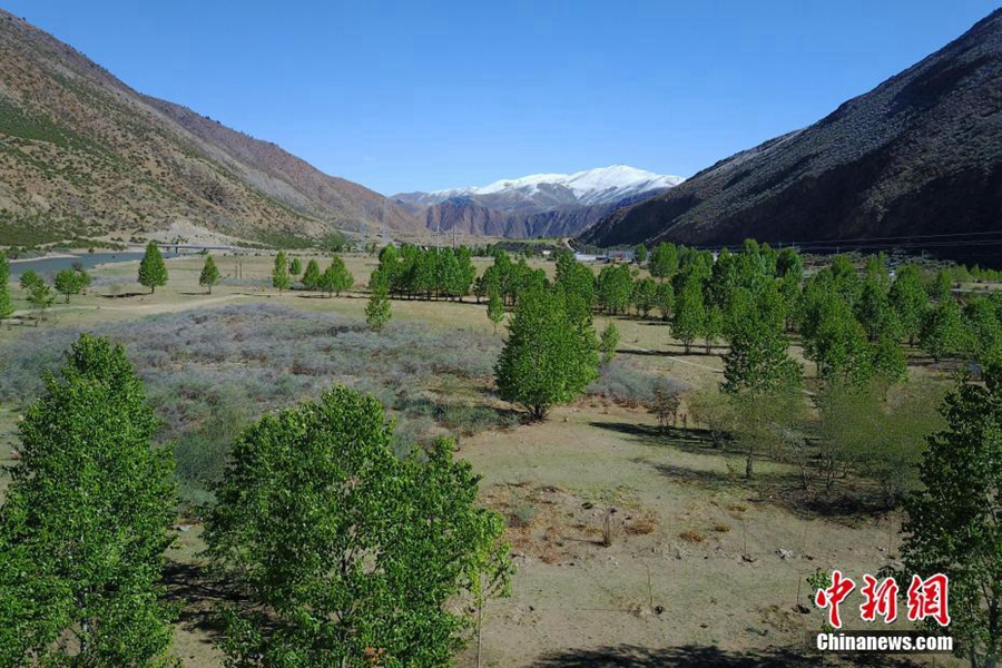 Живописные пейзажи раннего лета в уезде Цзогун Тибета