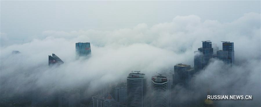 Туман над Циндао