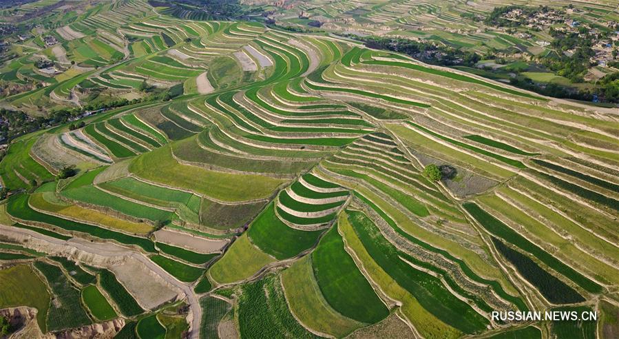 Террасные поля в провинции Ганьсу