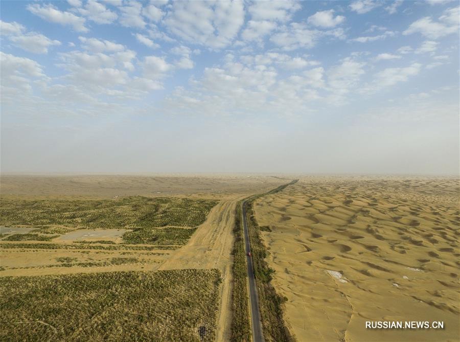 'Великая зеленая стена' посреди безбрежной пустыни 