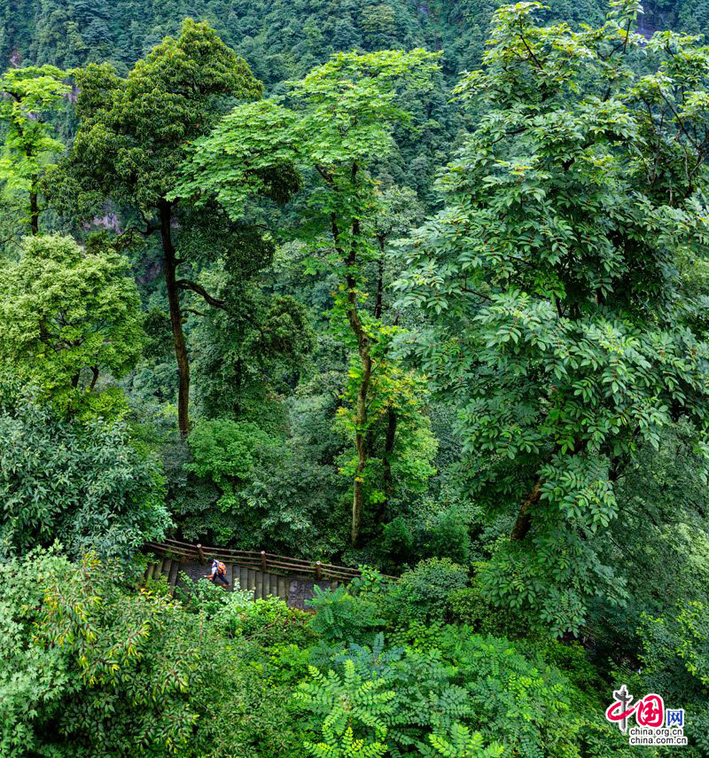 Рекомендуем: горы Эмэйшань – прекрасное место для спасения от жары