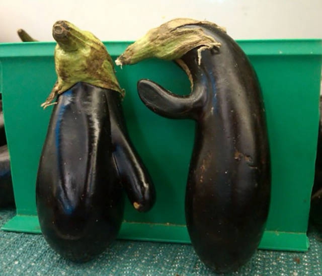 Ах эти милые овощи и фрукты