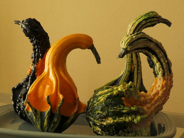 Ах эти милые овощи и фрукты